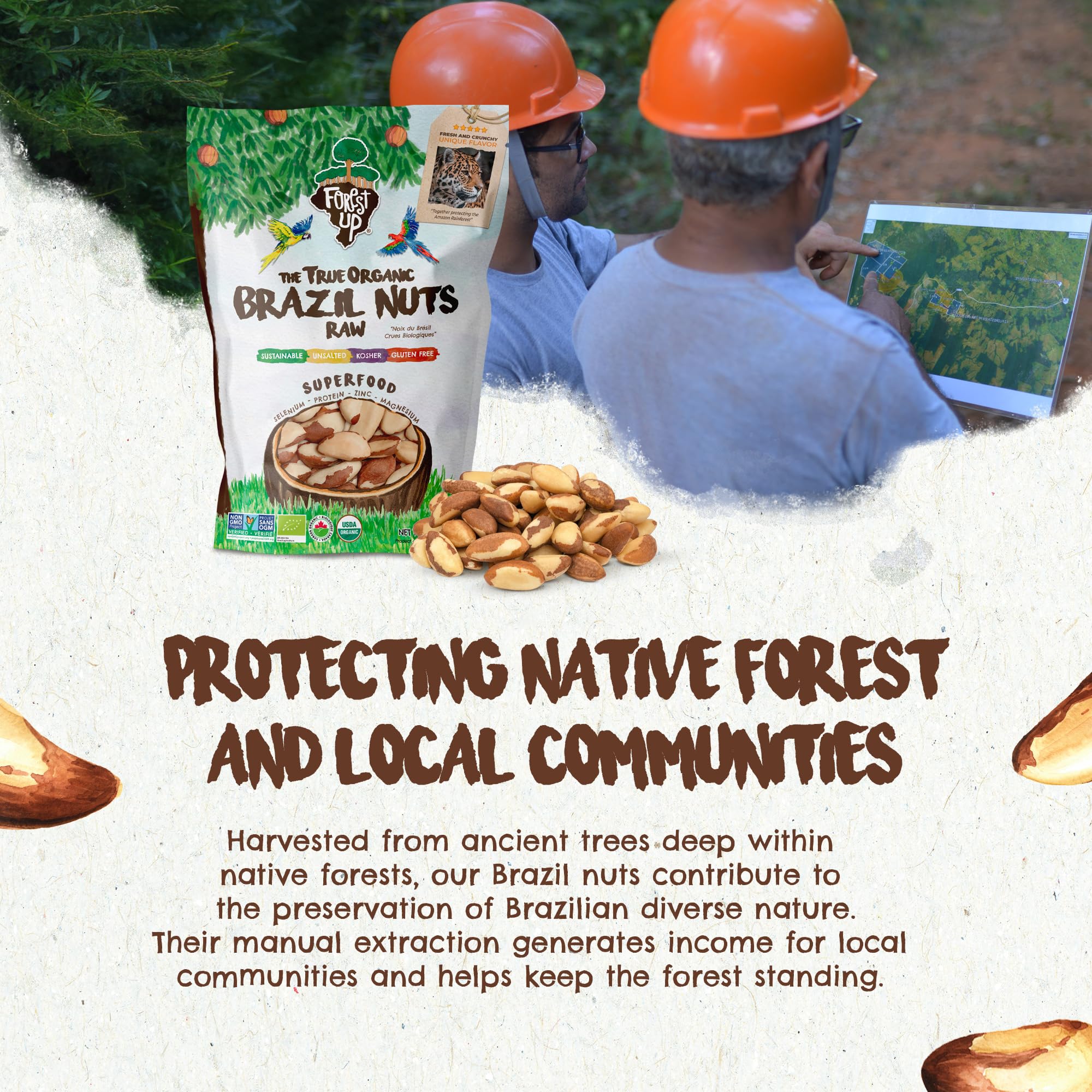 Crunchy nuts in modified atmosphere packaging by Floresta em Pé.