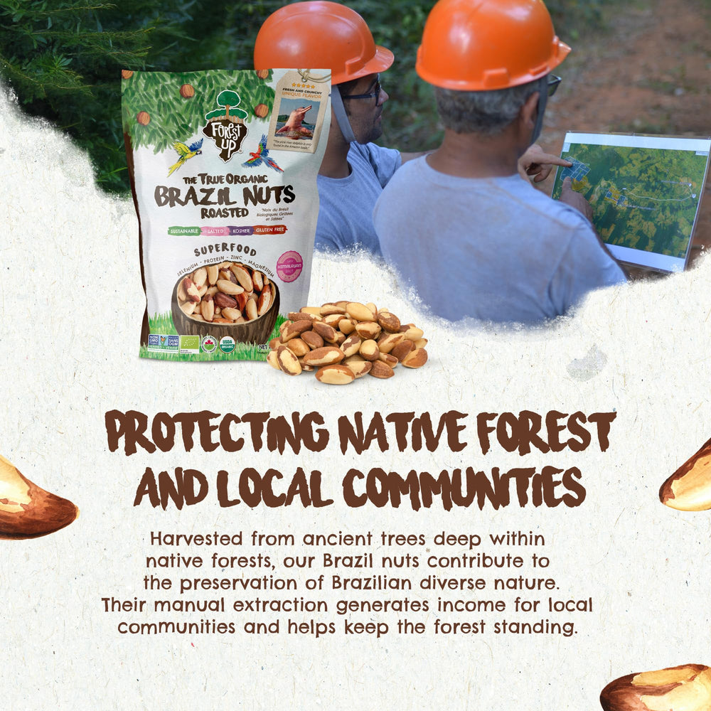 Kosher and organic Floresta em Pé Brazil nuts option