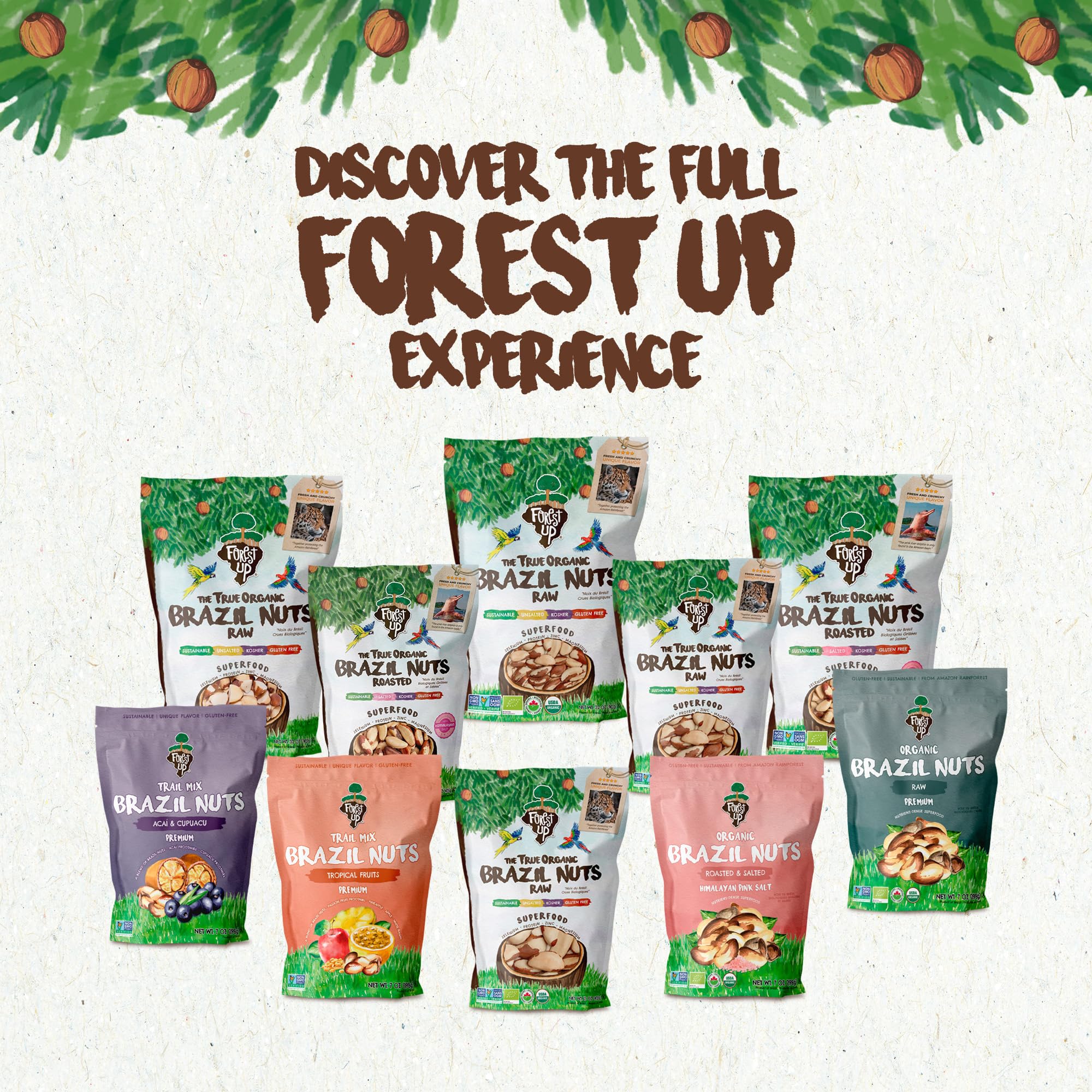 Floresta em Pé Brazil nuts rich in minerals and selenium