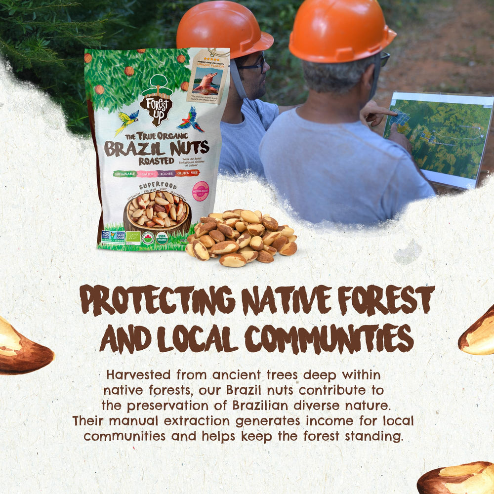 Floresta em Pé Brazil nuts served as quick trail snack.