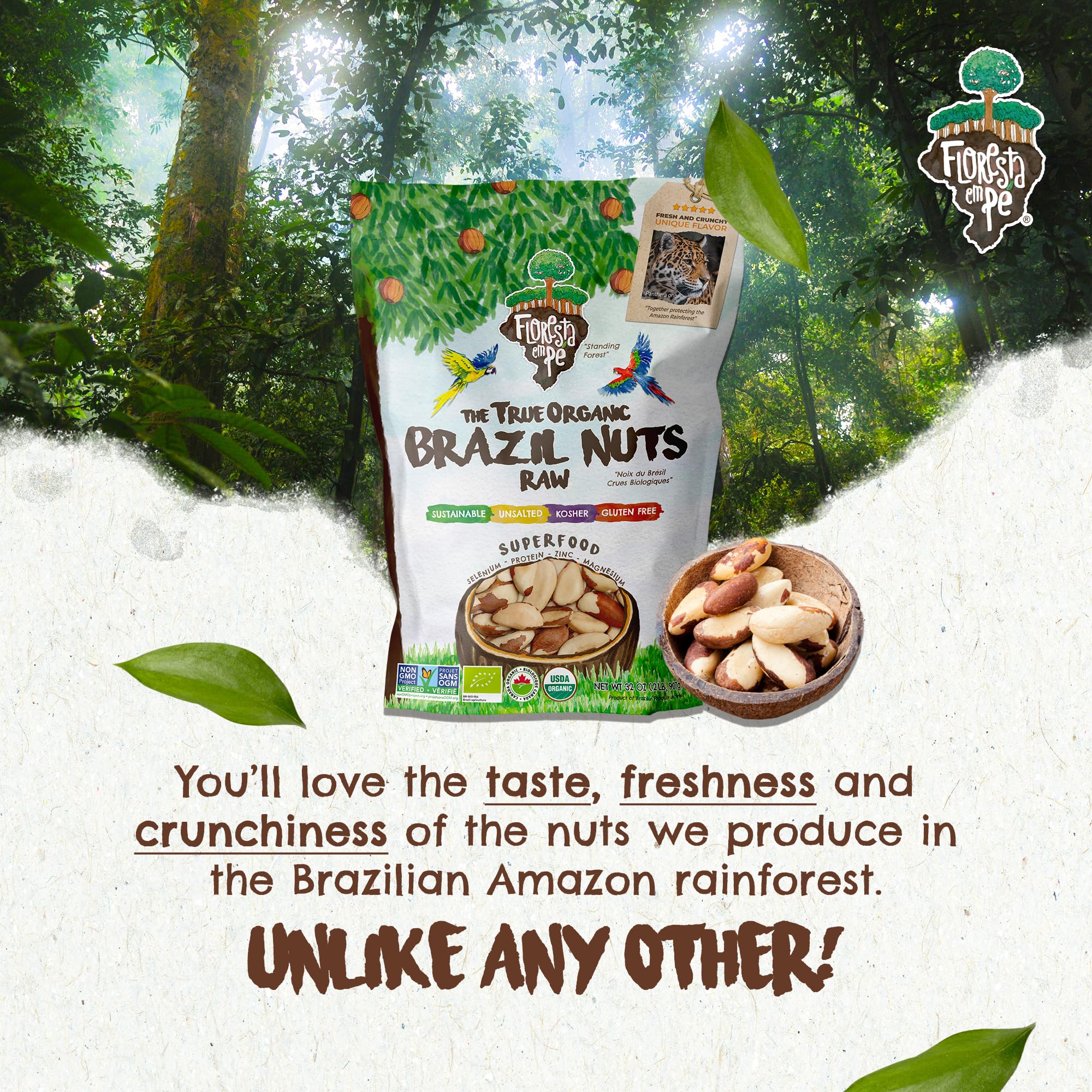 Floresta em Pé vegan label on Brazil nuts emphasizing plant-based protein.