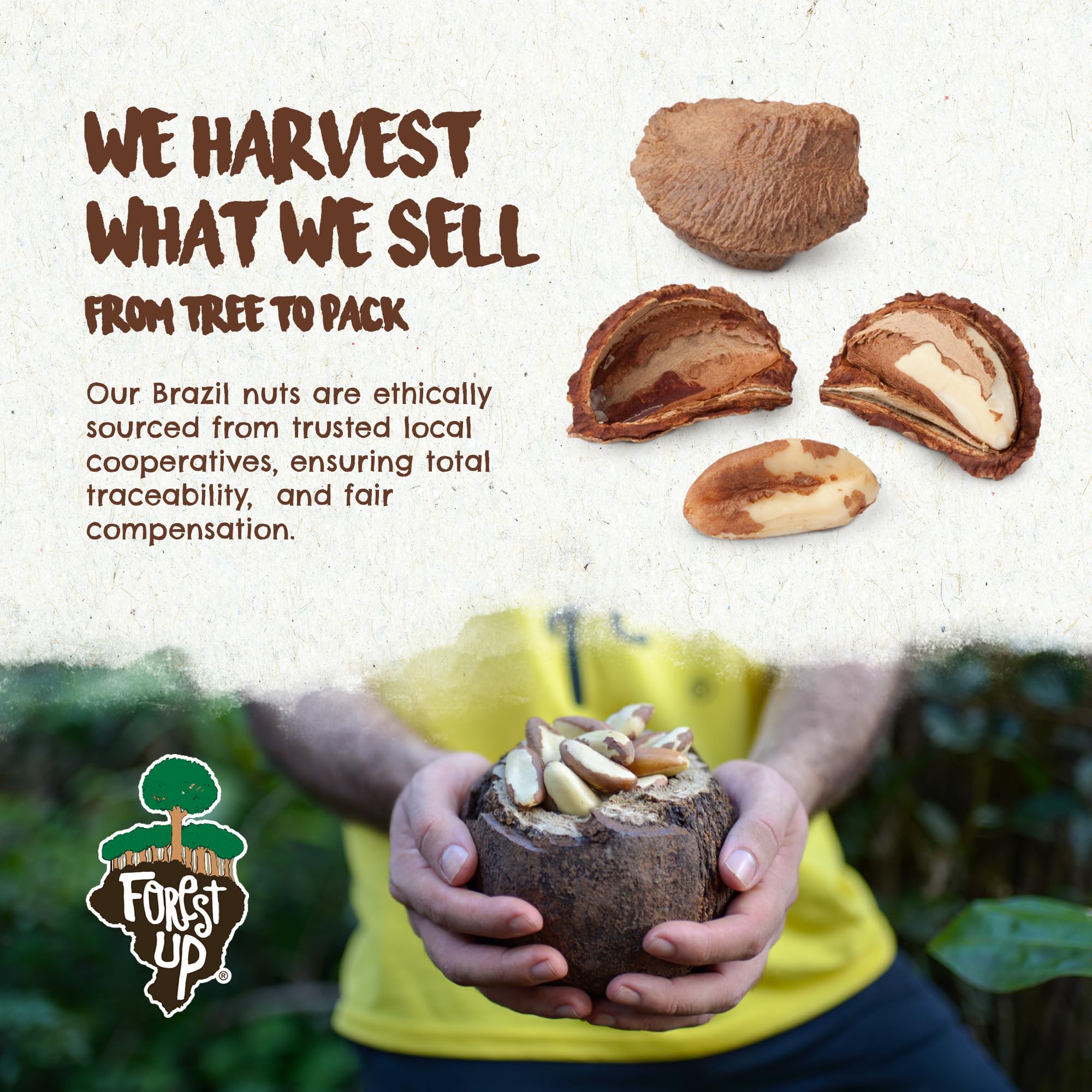 Floresta em Pé Brazil nuts organic vegan kosher certification icons.