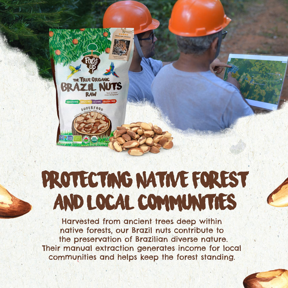 Floresta em Pé Brazil nuts are vegan, gluten-free and versatile for snacking.