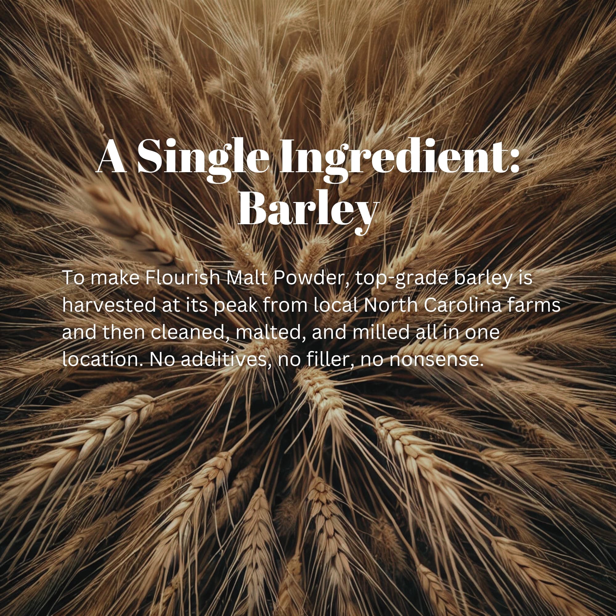 Flourish Millworks Malt Powder promotes even browning for a golden crust.