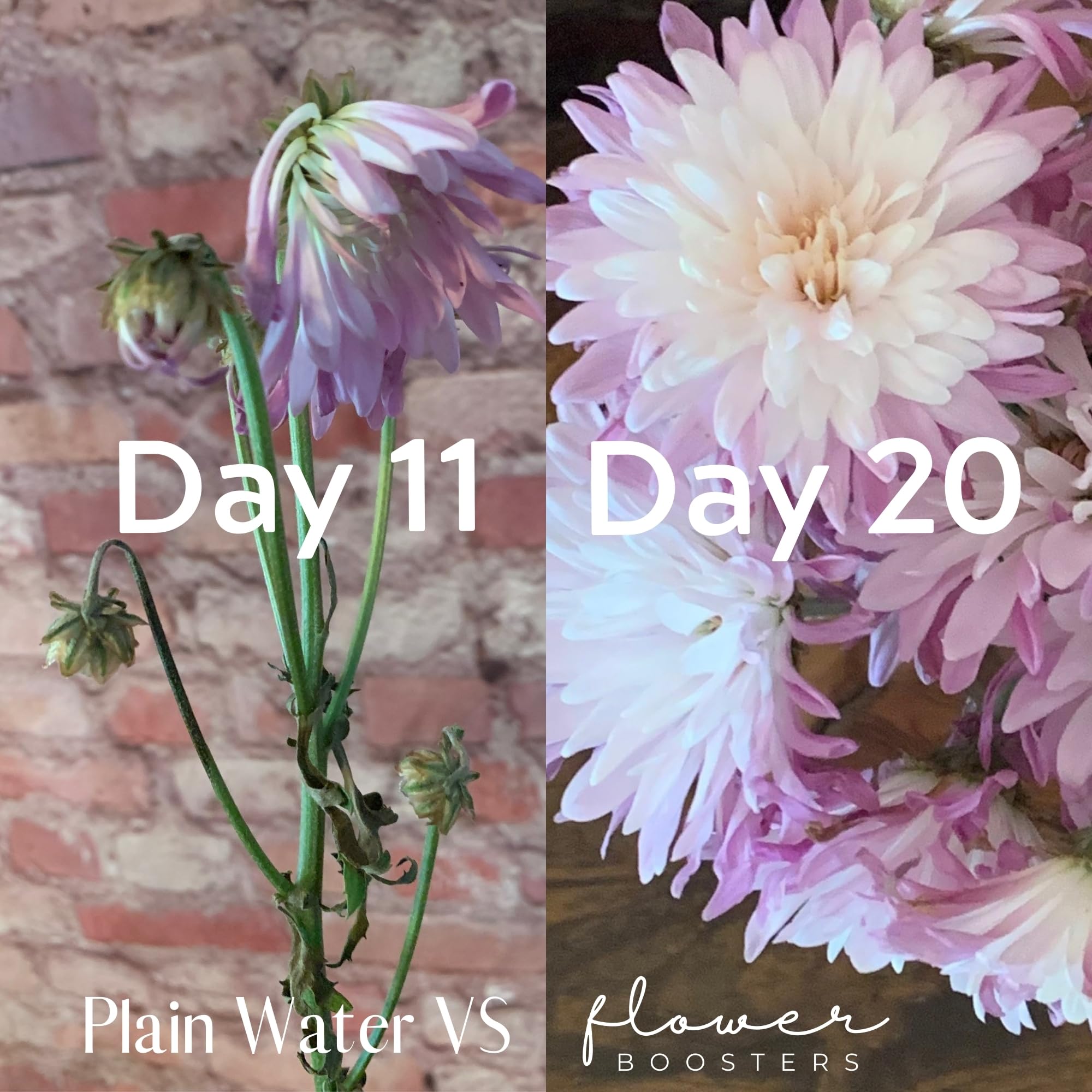 Flower Boosters scoop measures powder for precise mixes