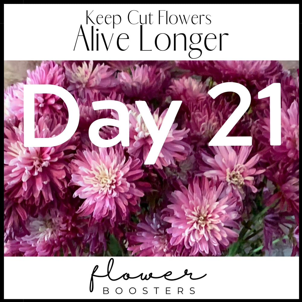 Suitable for grocery, farmers market, or homegrown bouquets