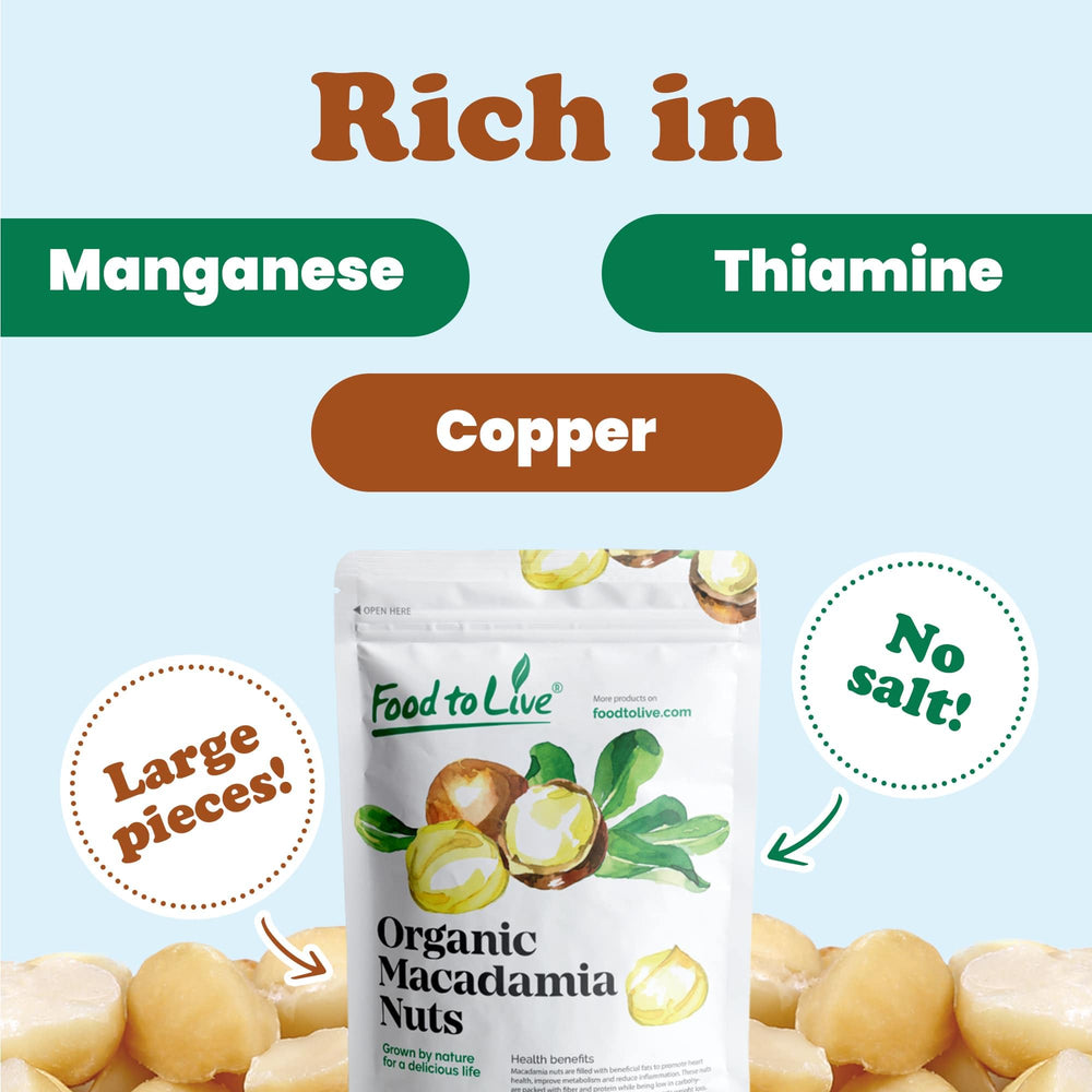 Antioxidant-rich macadamia nuts with vitamin E close-up