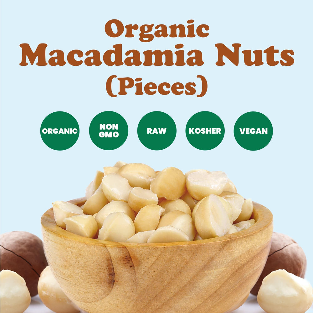Omega-rich macadamia nuts in a jar by Food to Live