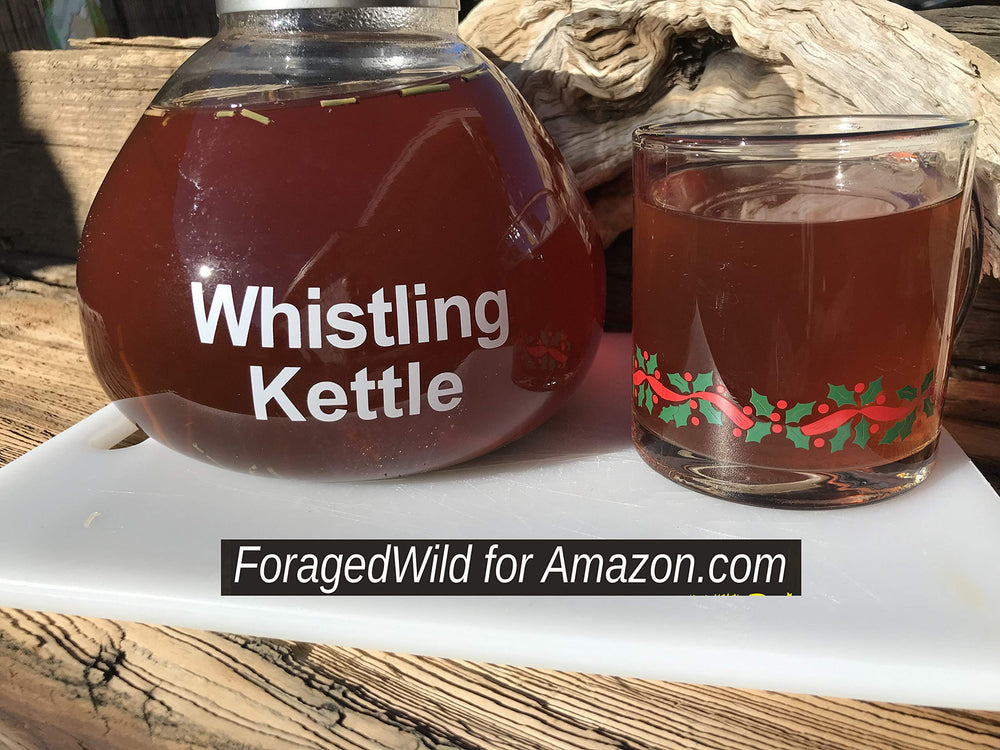 ForagedWild Mormon Tea brewed amber tea with green-tea like note.