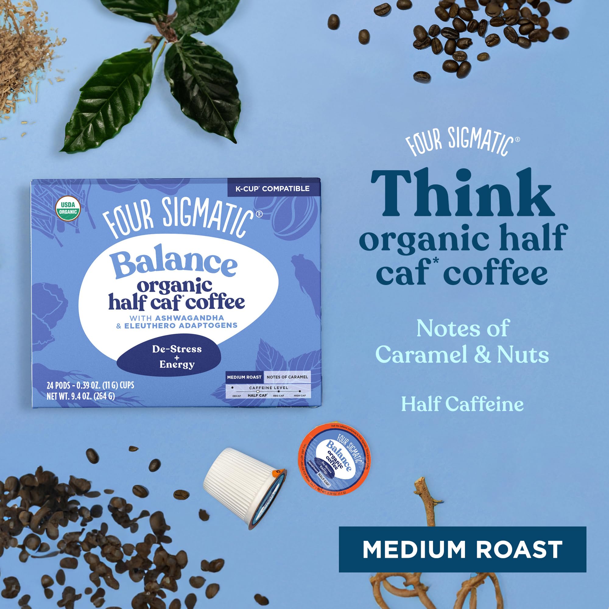 Chaga mushroom image on Four Sigmatic packaging highlighting antioxidant-rich profile