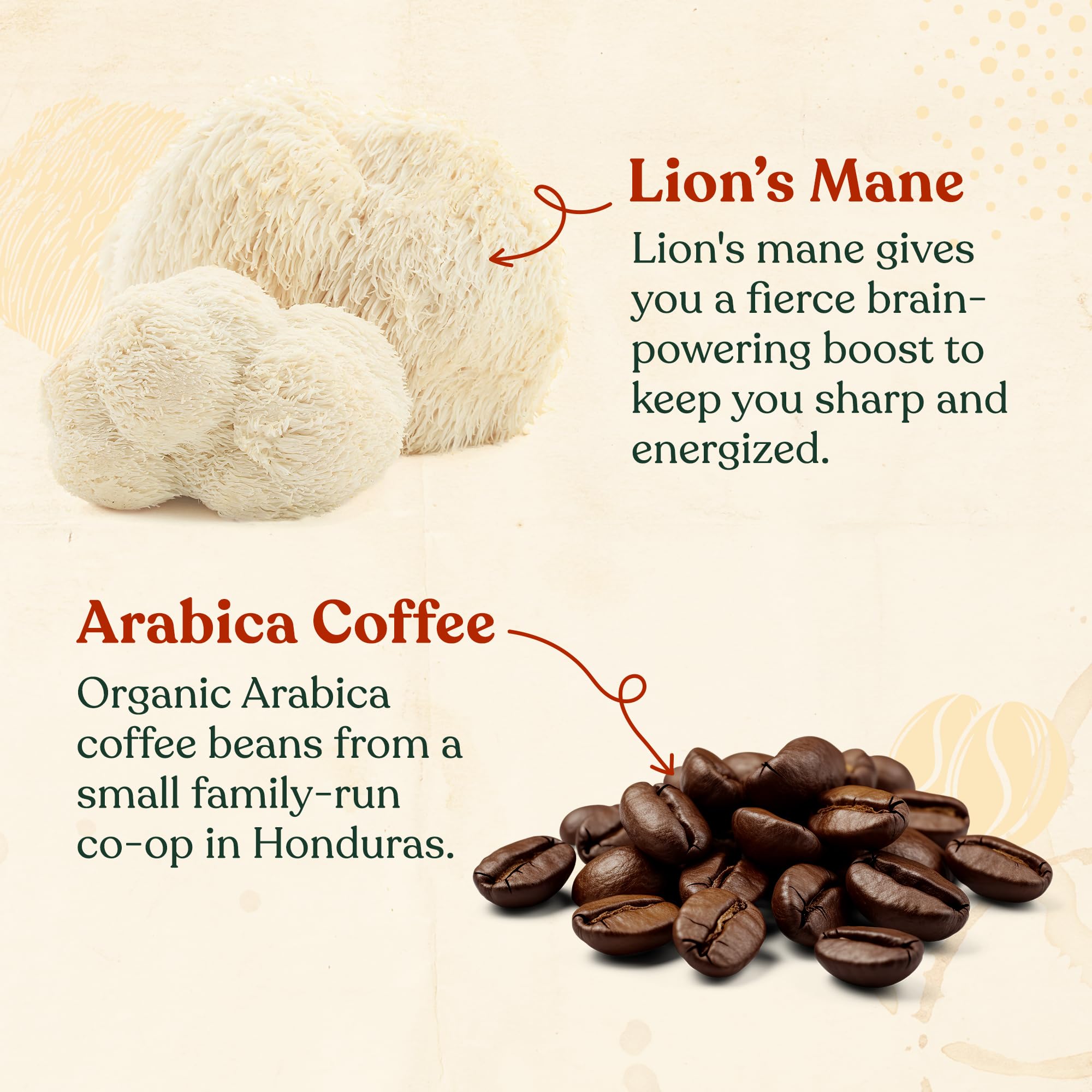 Four Sigmatic Focus coffee being brewed for morning energy and focus.