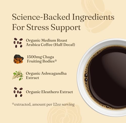 Four Sigmatic Chaga mushroom slices highlighting antioxidant-rich ingredients.