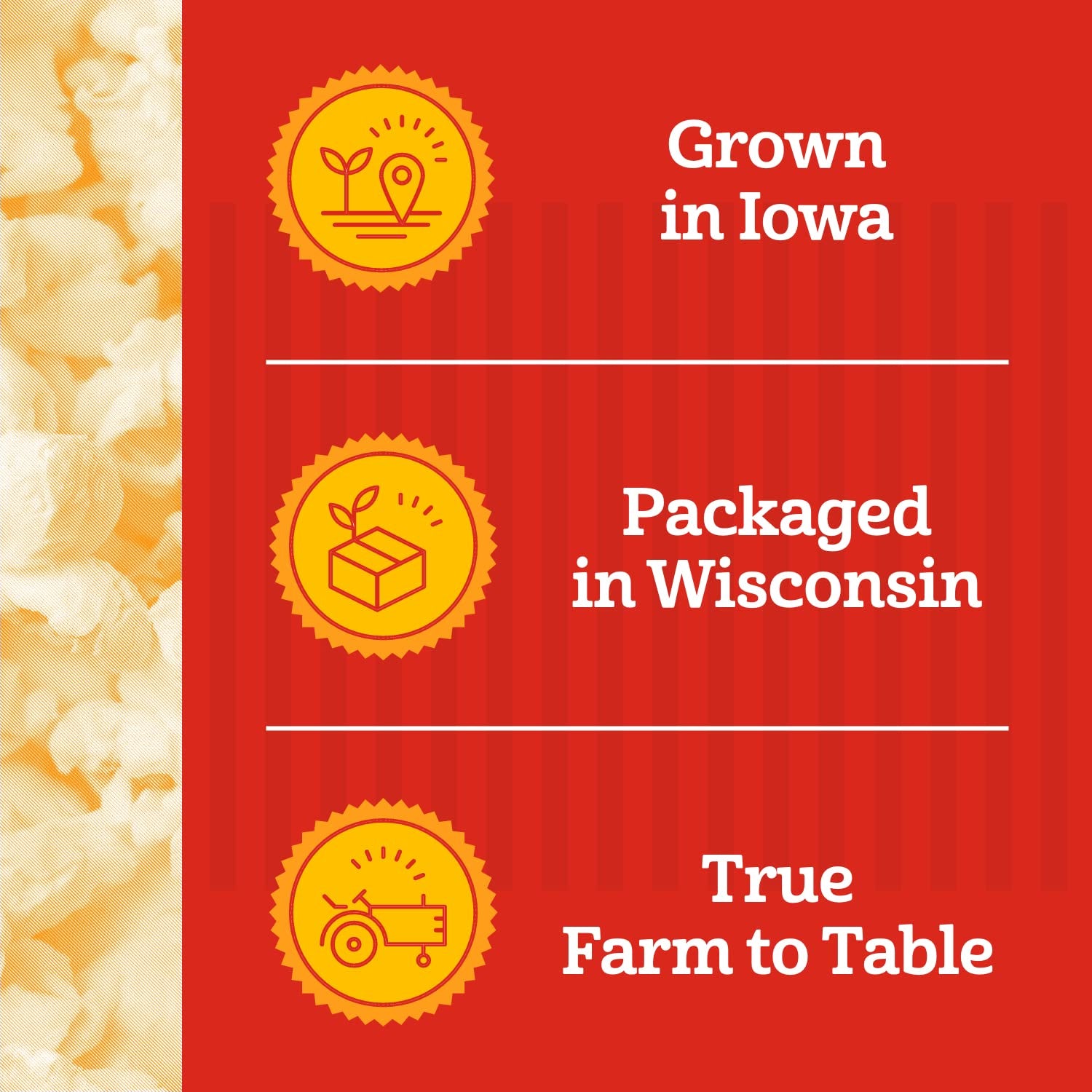 Vegan gluten-free Franklin's popcorn kit supports dietary preferences.