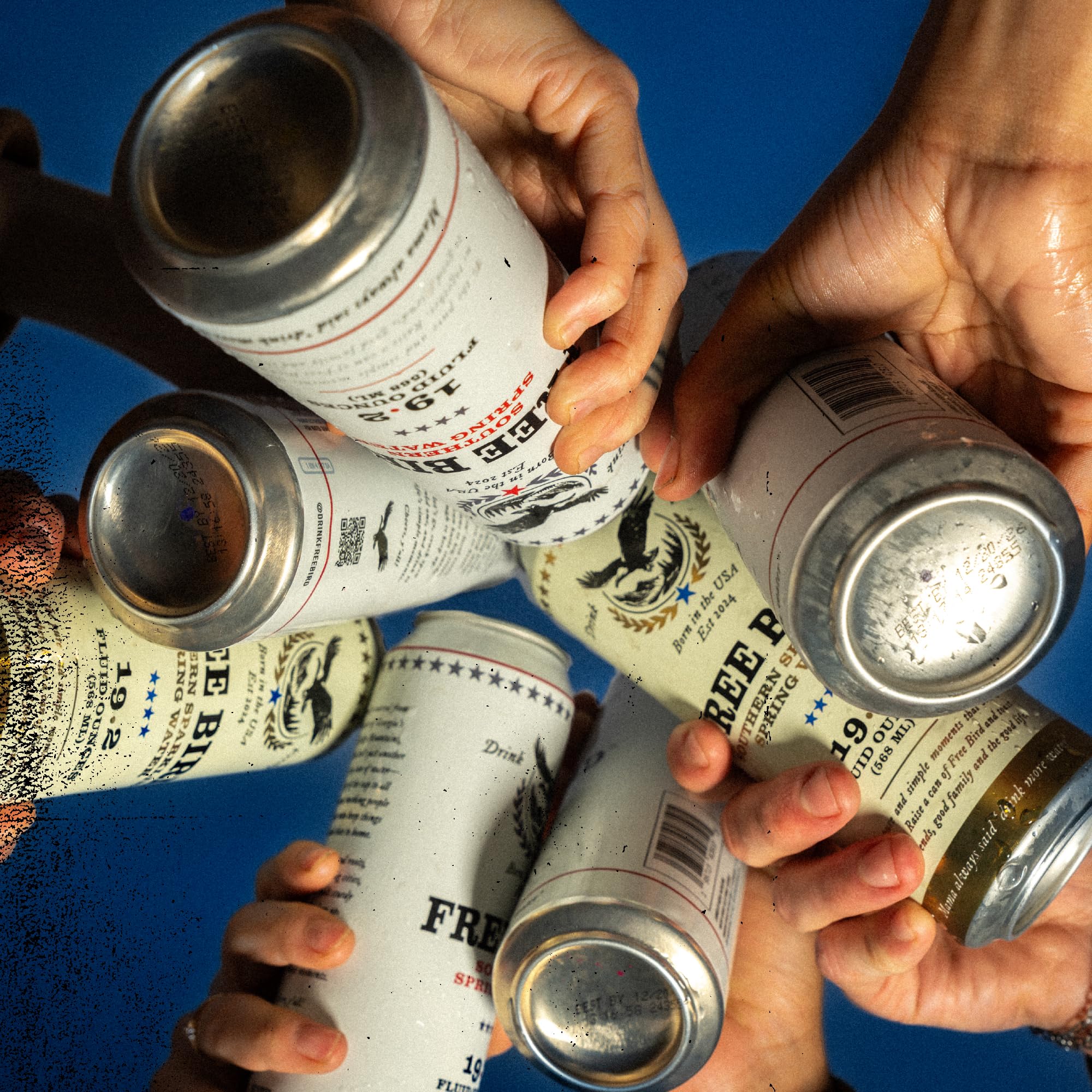 Free Bird Sparkling Southern Spring Water 12-pack ready for outdoor gatherings.