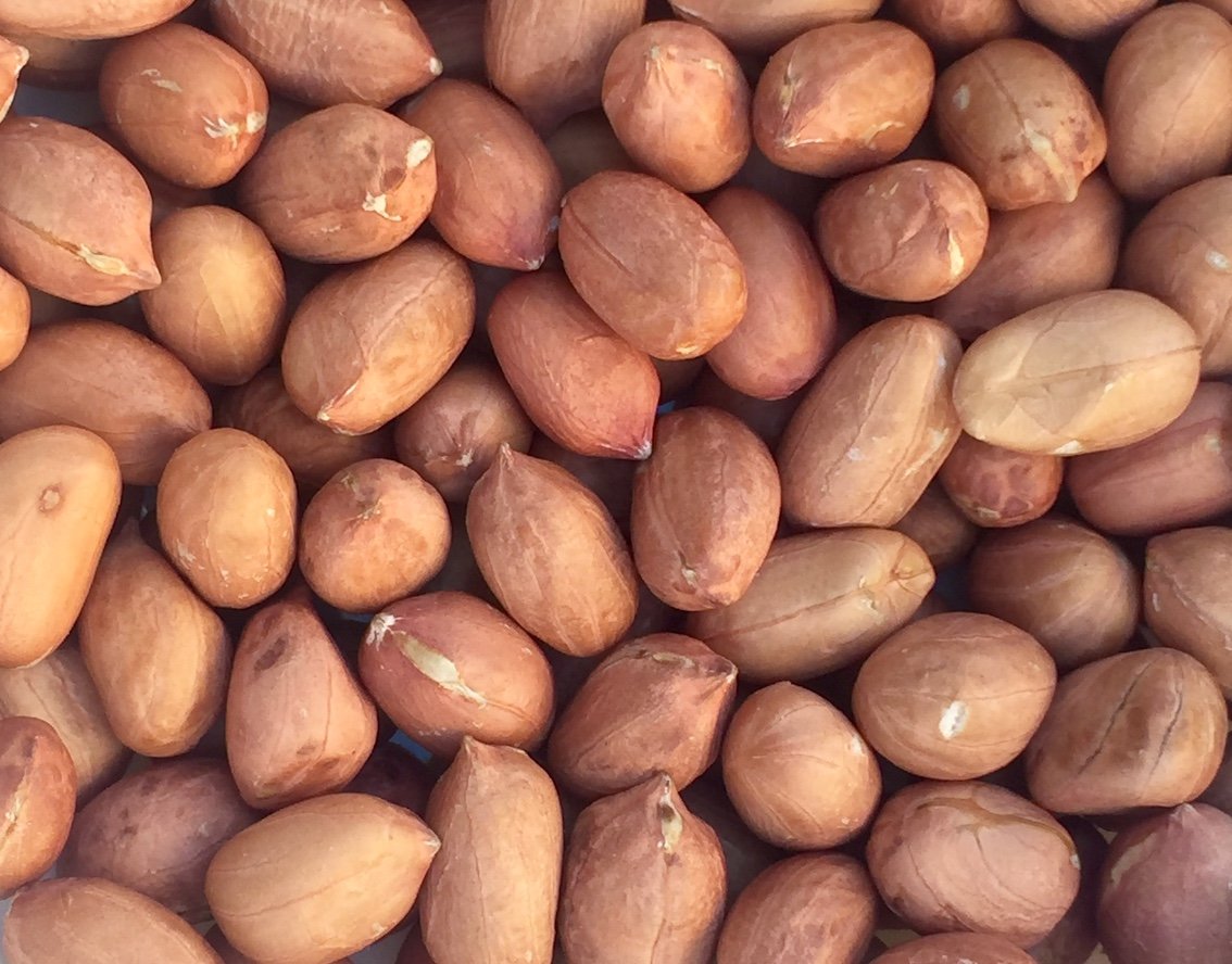 Freepi Pinstar premium raw red skin peanuts ready for snacking, roasting or homemade peanut butter.