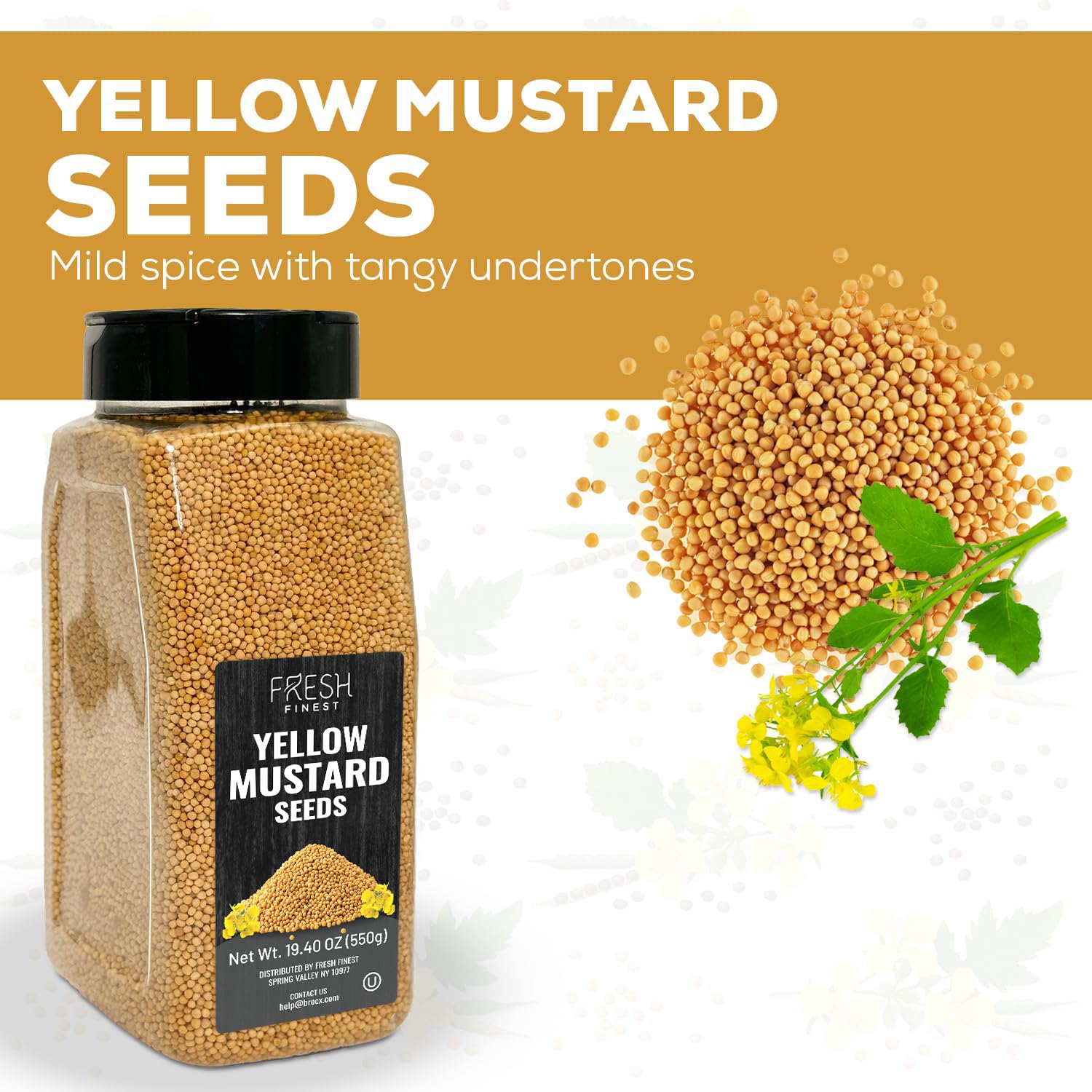 Fresh Finest yellow mustard seeds on a spice rack ready to season recipes.