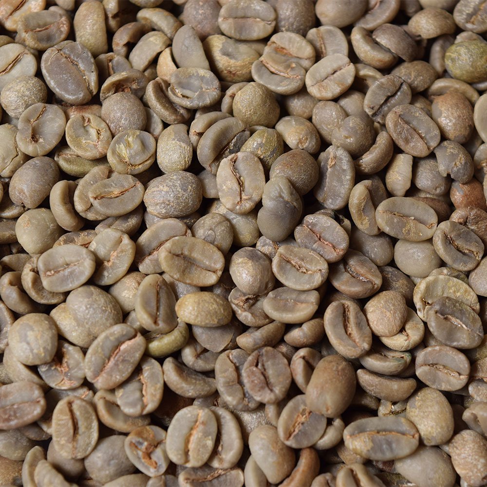 Fresh Roasted Coffee open-packaging highlights premium raw beans for aroma testing.