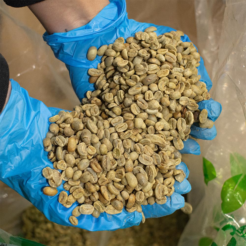 Fresh Roasted Coffee beans with grinder and scale for optimal grind
