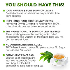 FreshDrinkUS 100% natural soursop leaves for caffeine-free, soothing tea