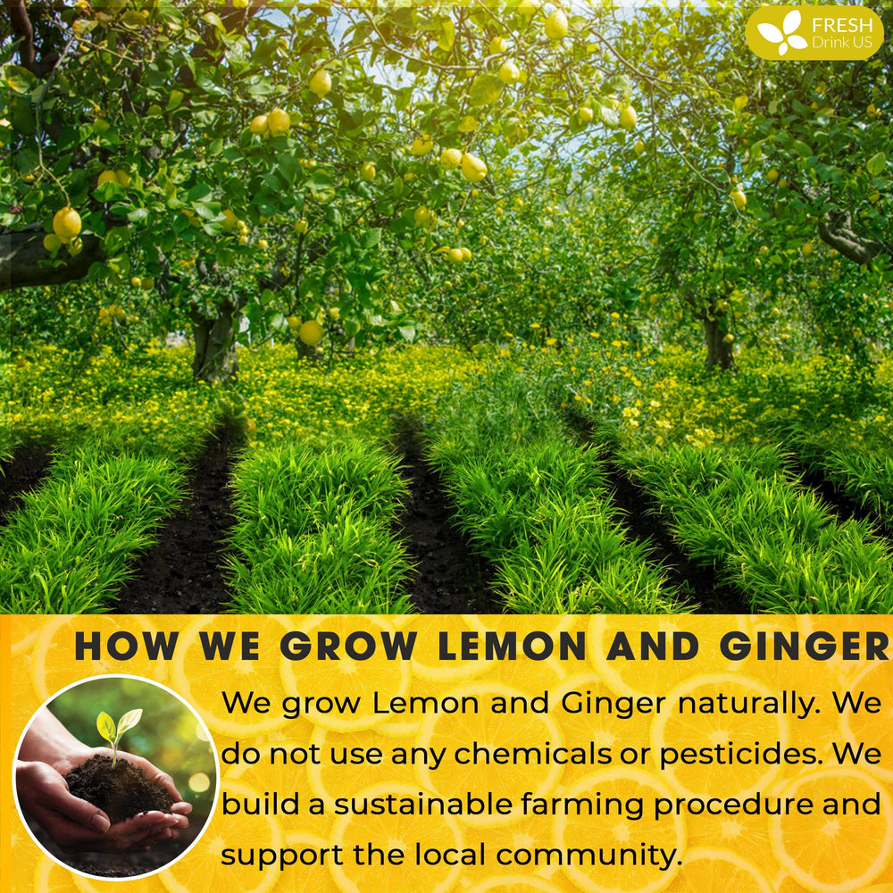FreshDrinkUS Biodegradable tea bag corn fiber demonstrates eco-friendly packaging and reduced waste.