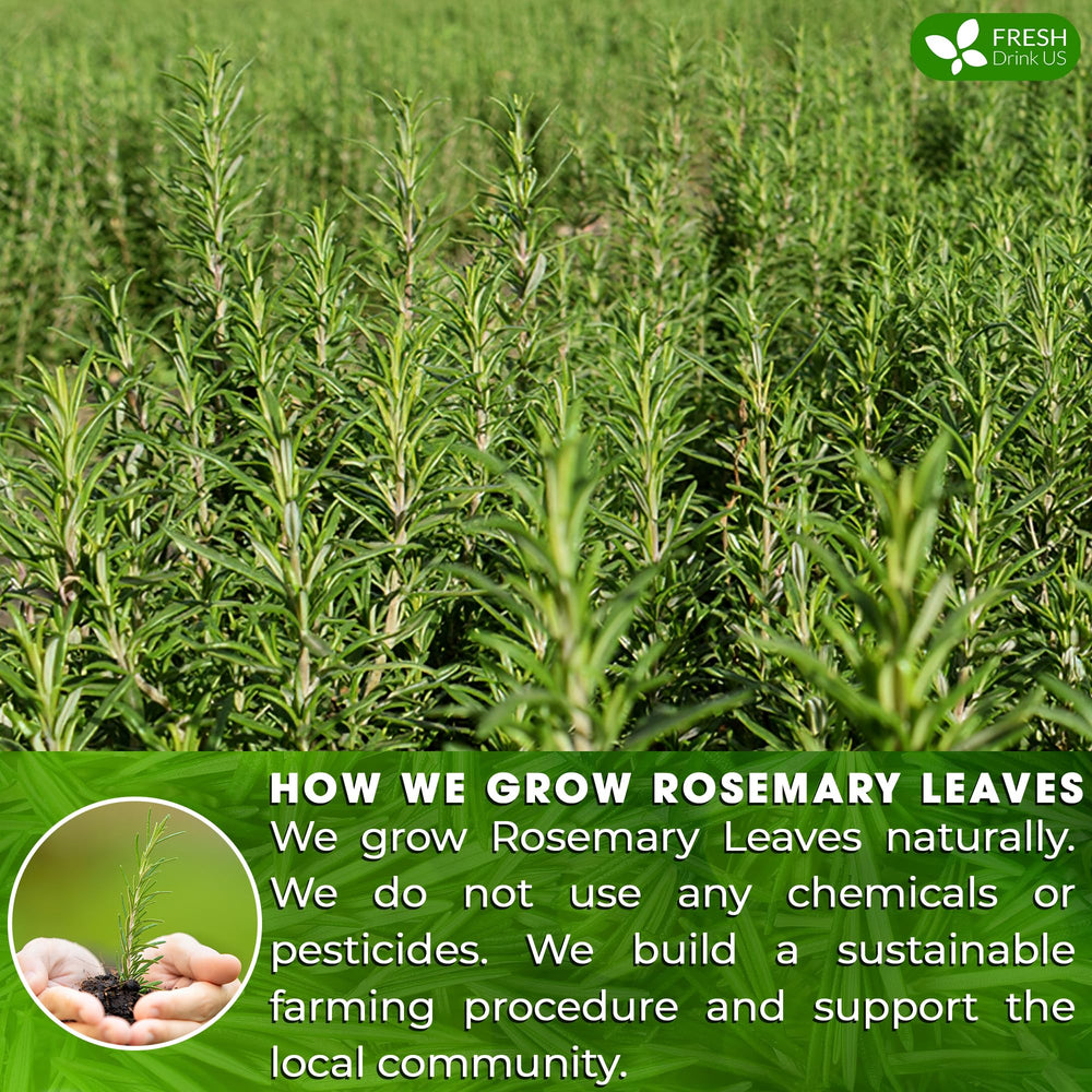 Biodegradable FreshDrinkUS corn fiber tea bag supports eco-friendly brewing.