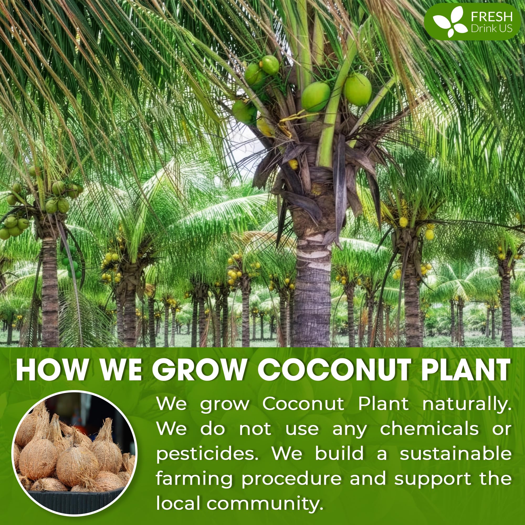 FreshDrinkUS coconut milk powder baking scene reveals creamy coconut notes in desserts.