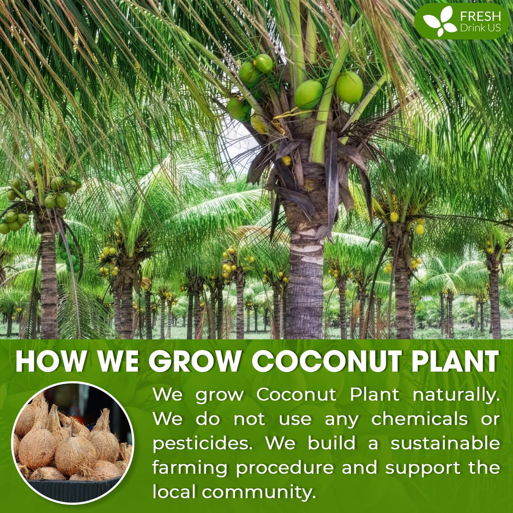 FreshDrinkUS coconut milk powder baking scene reveals creamy coconut notes in desserts.