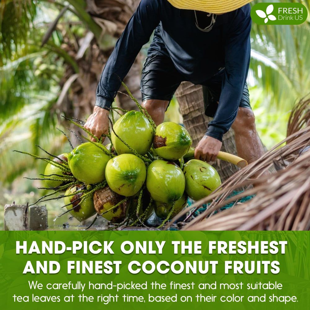 FreshDrinkUS coconut milk powder smoothie image highlights creamy texture in beverages.