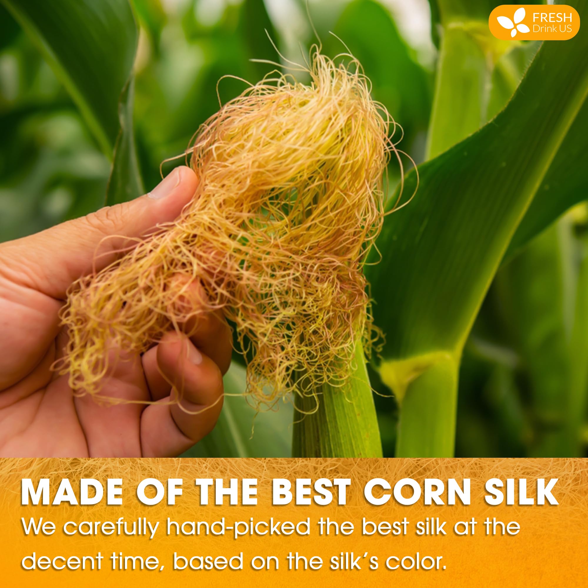 FreshDrinkUS corn silk leaf close-up shows natural texture.
