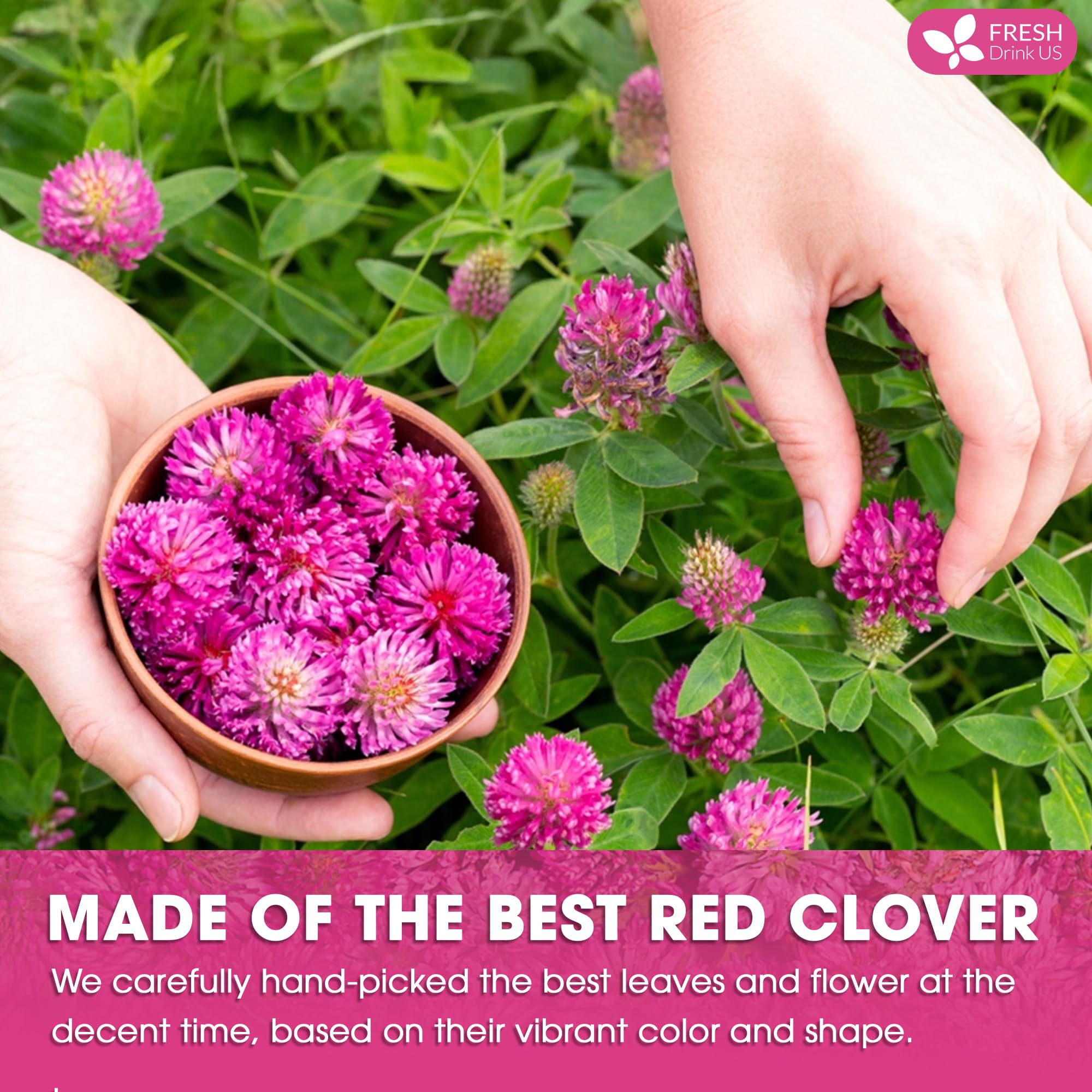 FreshDrinkUS dried red clover blossoms signal premium, clean ingredients