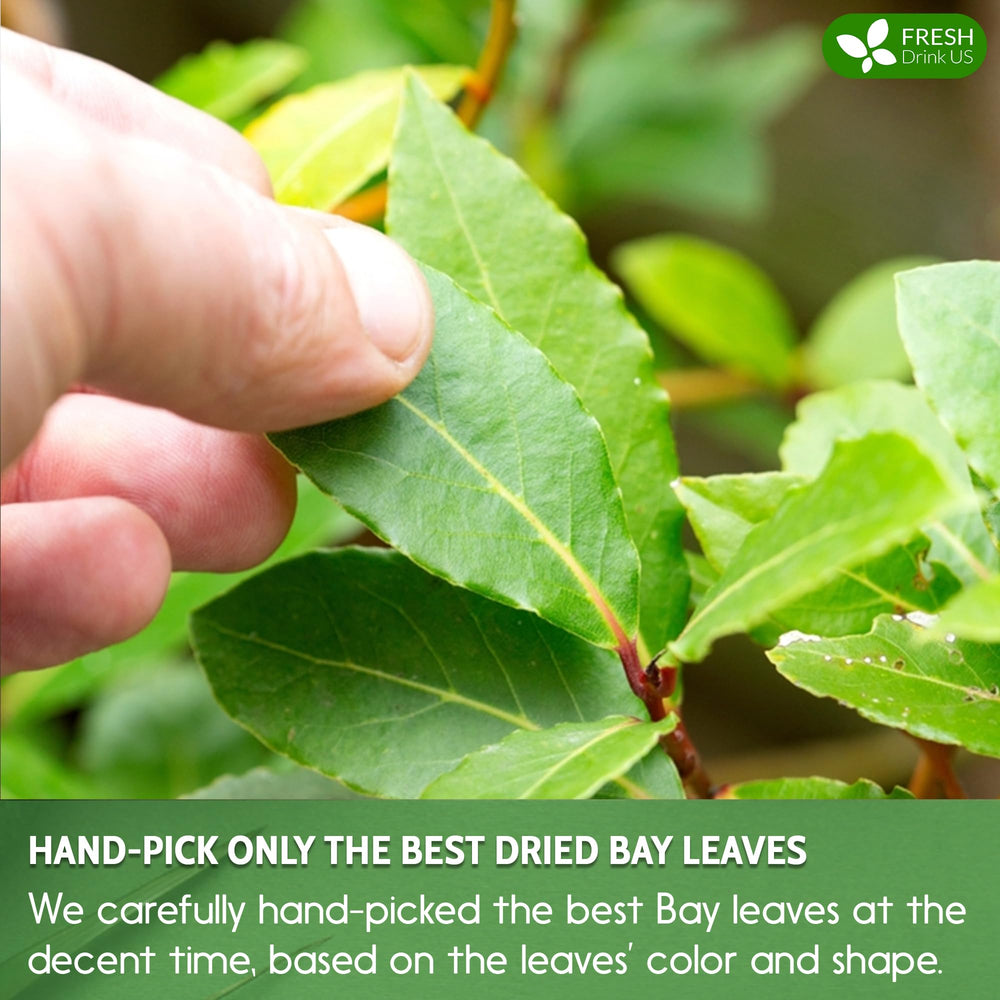 A steaming cup of FreshDrinkUS bay leaf tea ready to enjoy.