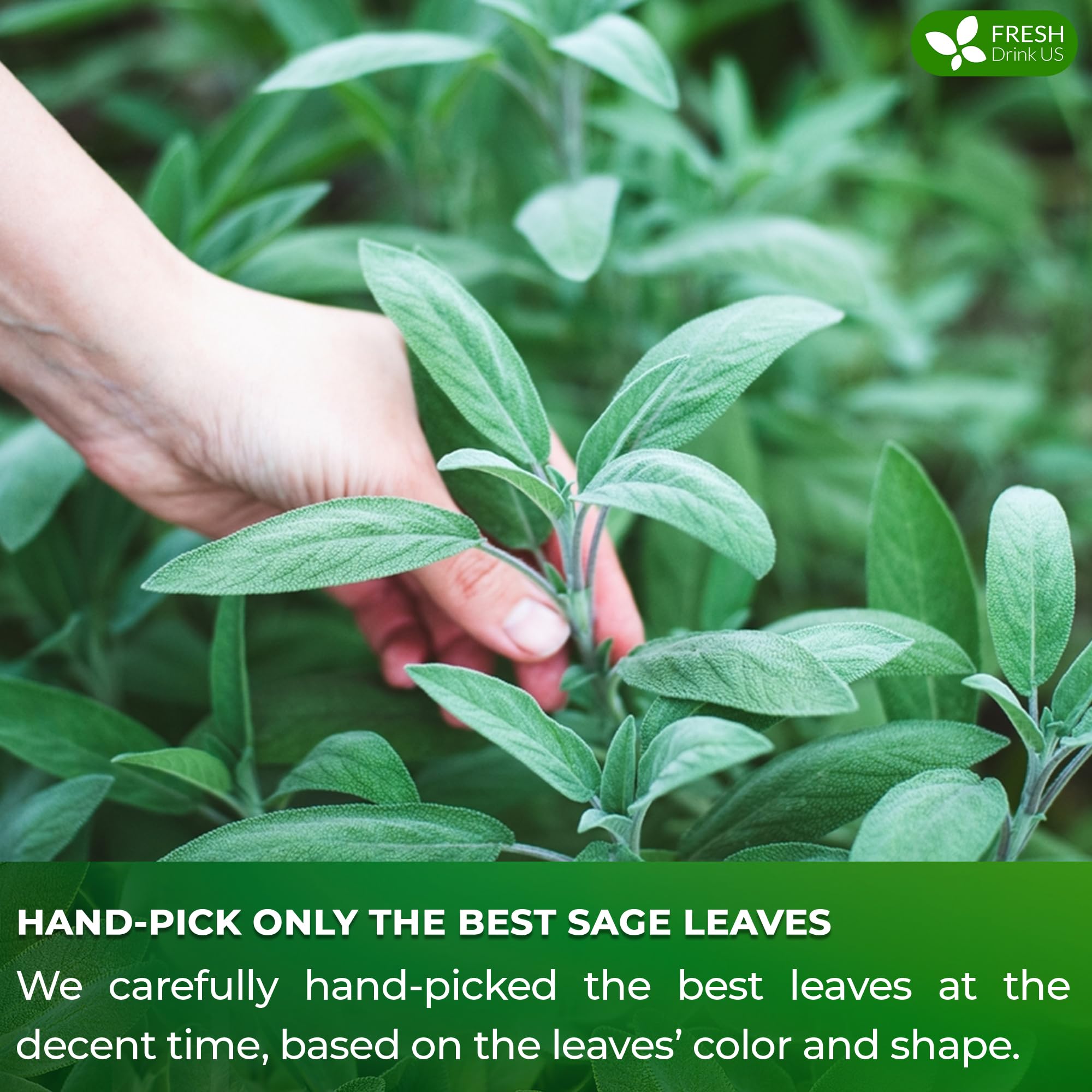 FreshDrinkUS farm-to-cup sourcing highlights sustainable farming.