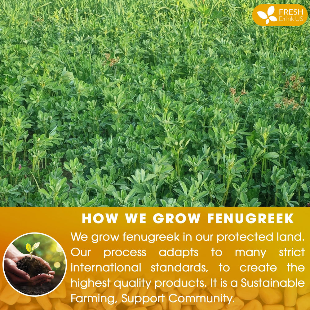 FreshDrinkUS fenugreek sun-dried leaves imply rich, authentic flavor