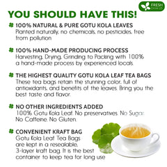 FreshDrinkUS gotu kola tea bag close-up highlights premium leaves and earthy flavor.