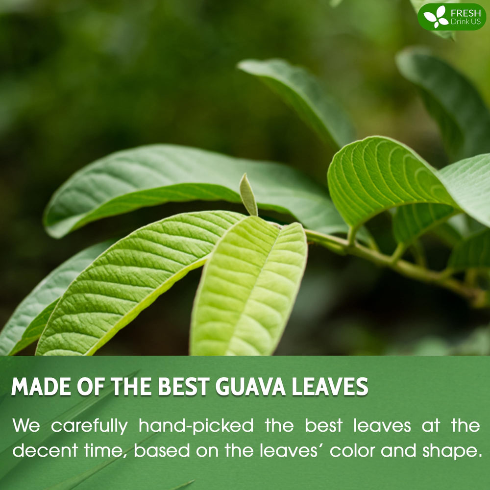 FreshDrinkUS guava leaves for easy tea brewing and steeping