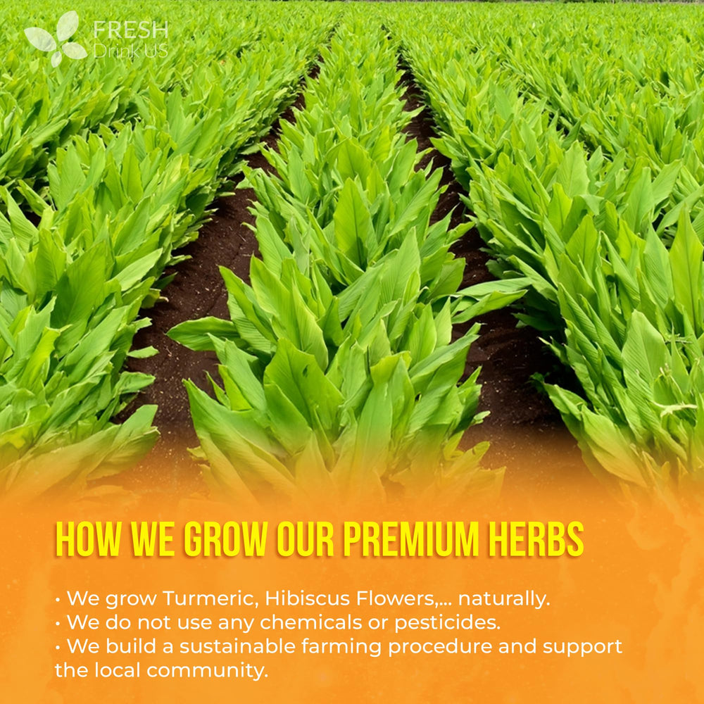 FRESHDRINKUS Harmony carefully produced ingredients maintain aroma and freshness.