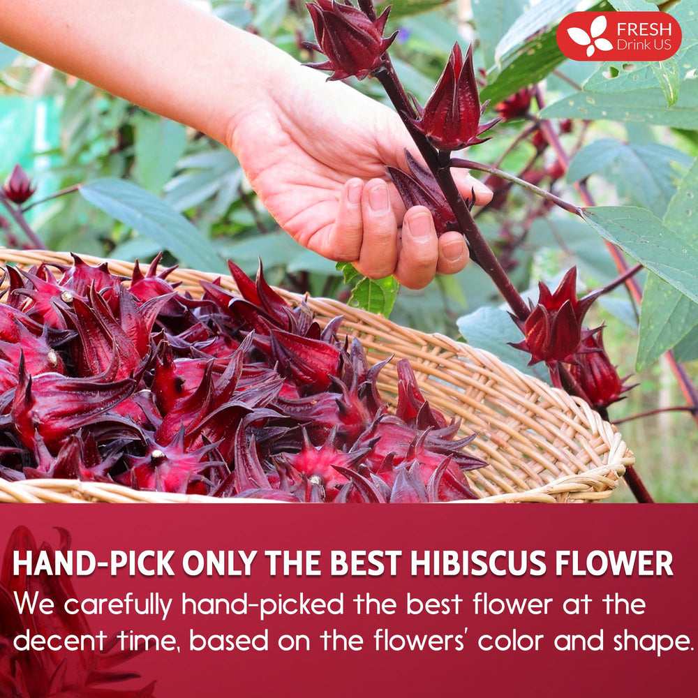 FreshDrinkUS dried hibiscus flowers ready for powder production