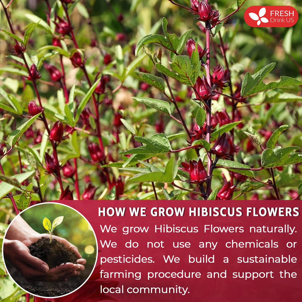 FreshDrinkUS hibiscus powder closeup shows fine, velvety texture