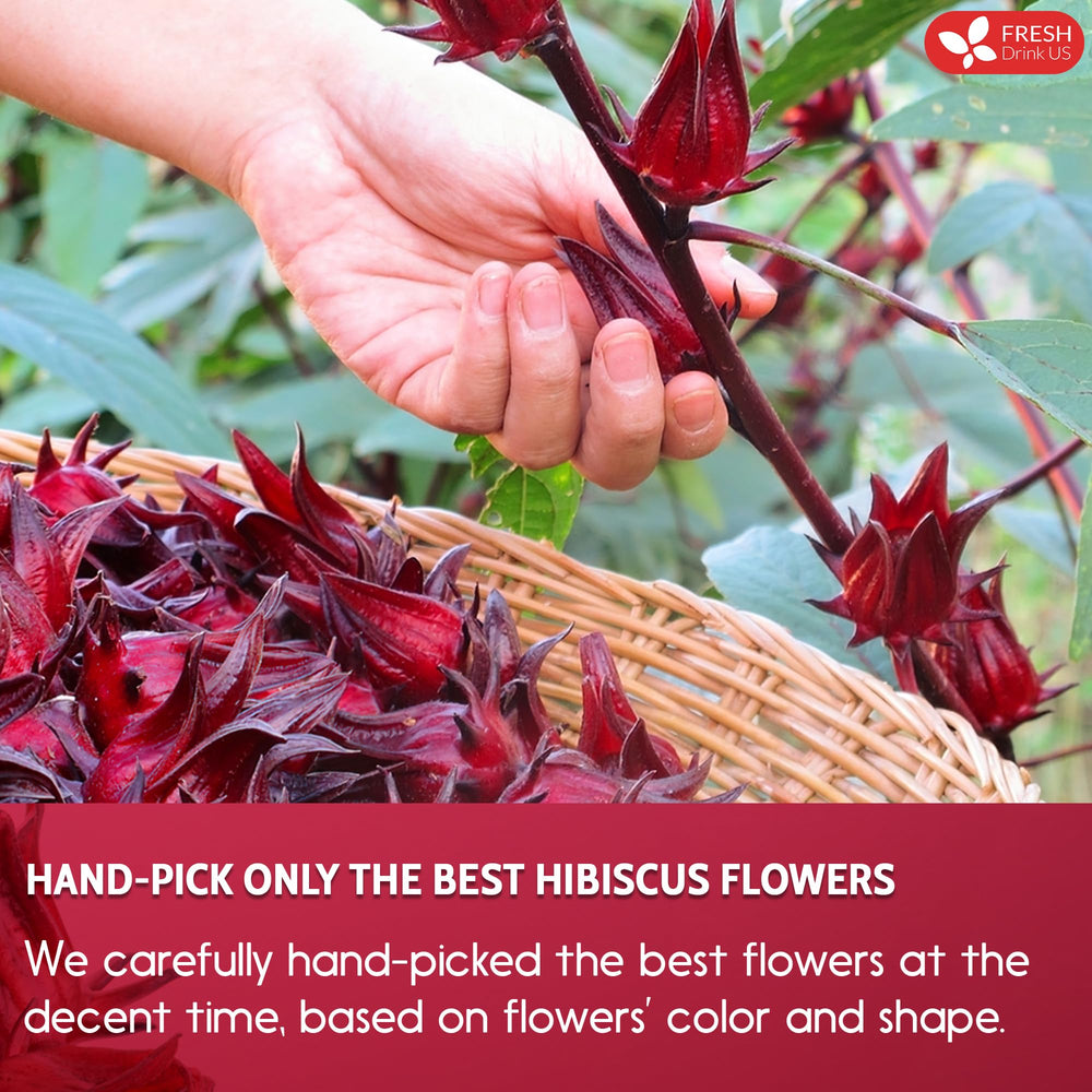 FreshDrinkUS hibiscus flowers ready for hot or cold brew
