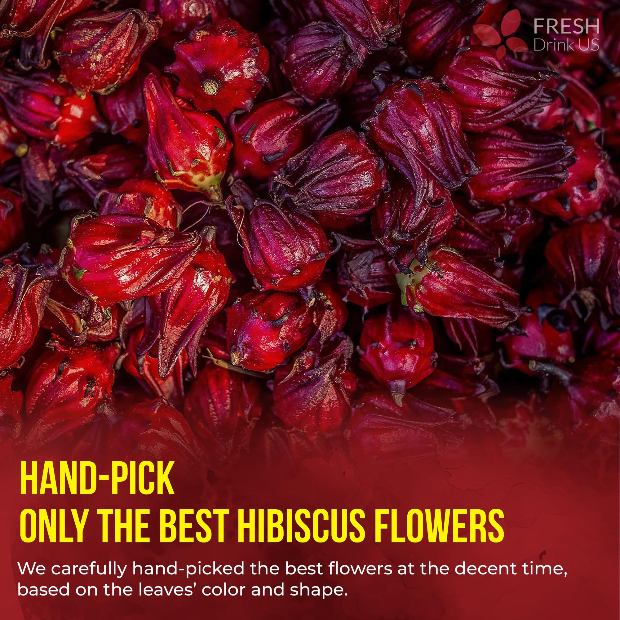 FreshDrinkUS hot or iced hibiscus tea served with vibrant aroma.