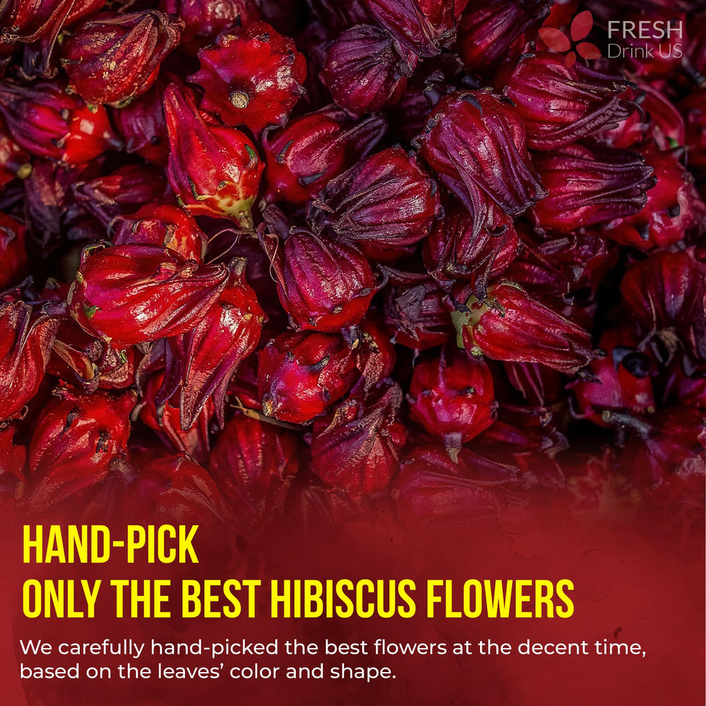 FreshDrinkUS hot or iced hibiscus tea served with vibrant aroma.