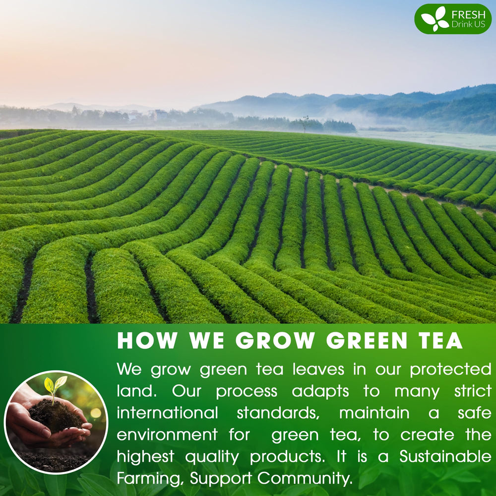FreshDrinkUS iced green tea, a refreshing option for warm days.