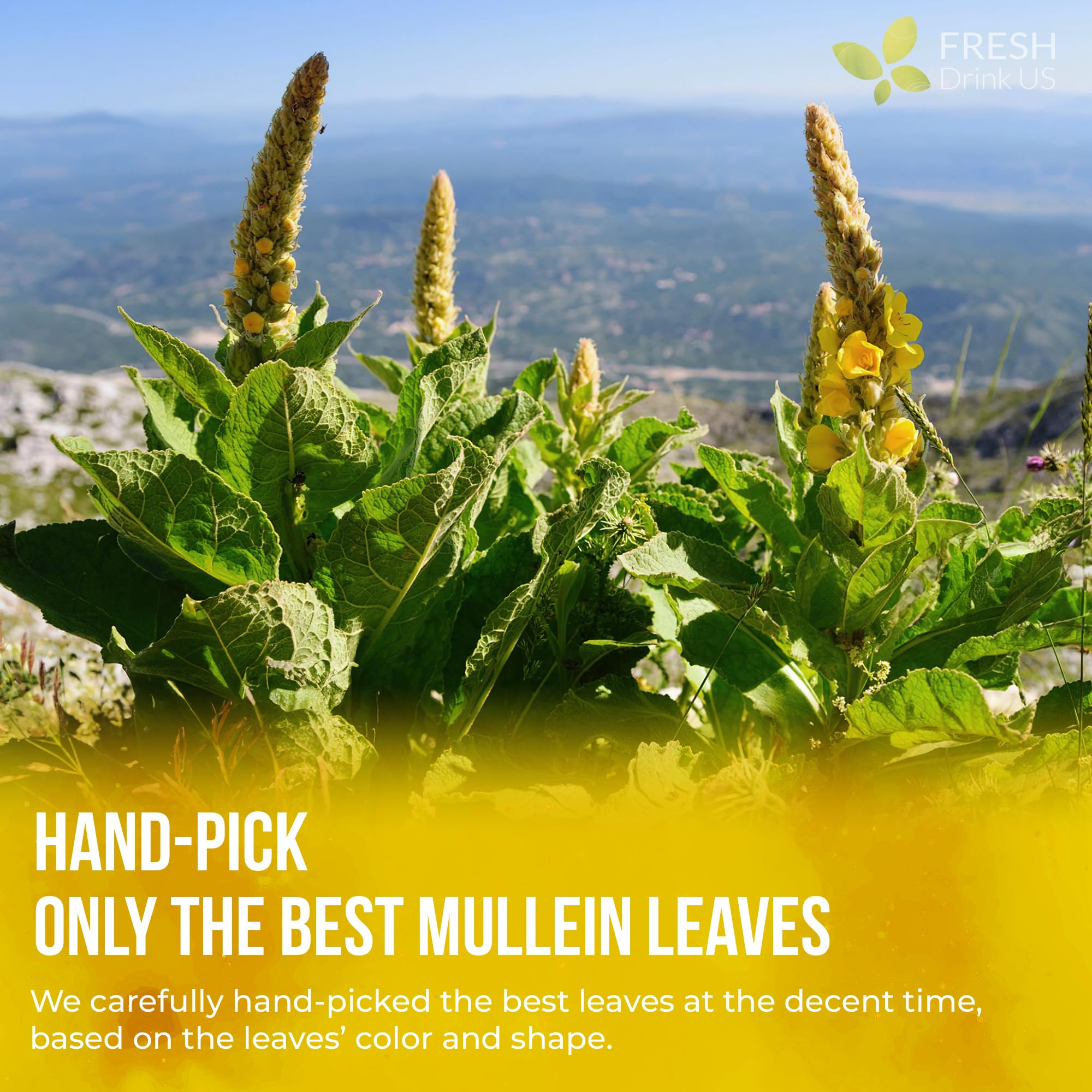 FreshDrinkUS kraft bag packaging keeps mullein tea fresh for travel