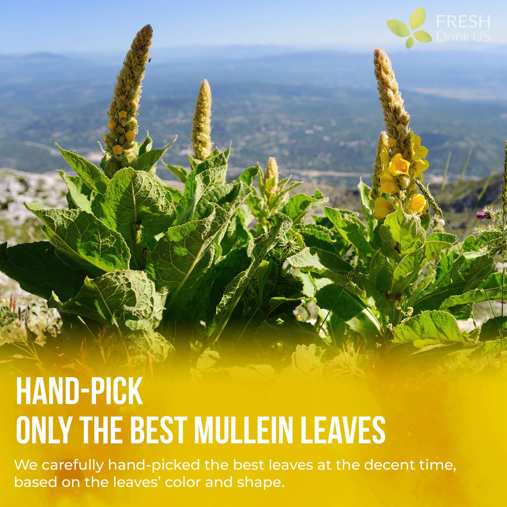 FreshDrinkUS kraft bag packaging keeps mullein tea fresh for travel