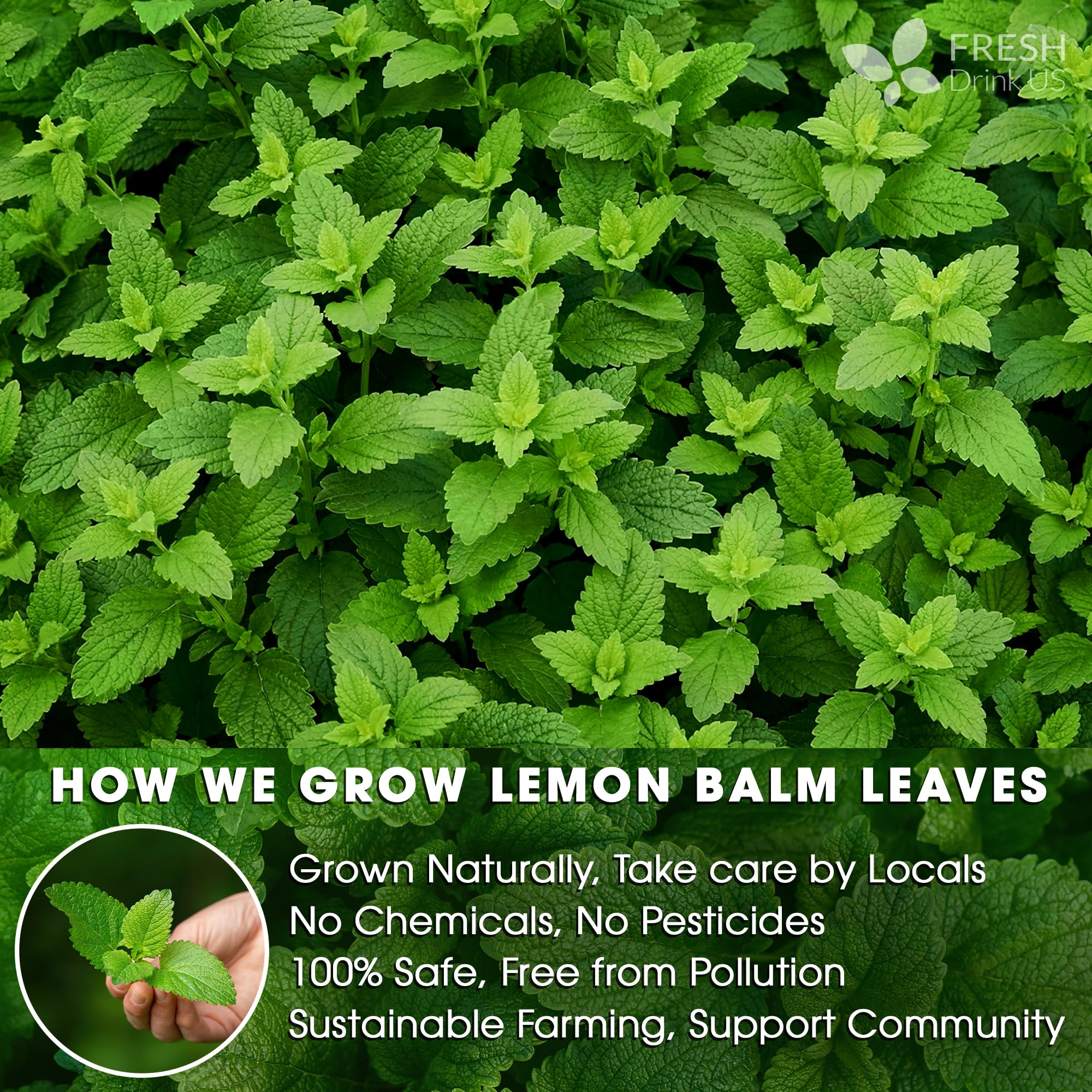 FreshDrinkUS lemon-note aroma enhances tea moments with bright citrus hints
