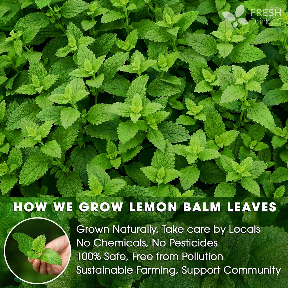 FreshDrinkUS lemon-note aroma enhances tea moments with bright citrus hints