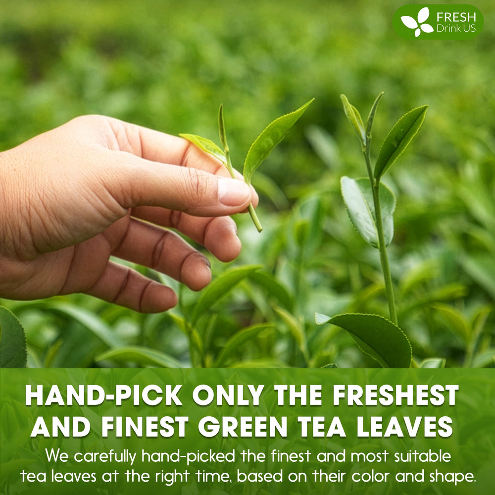 FreshDrinkUS Matcha Latte Pouch Seal emphasizes freshness and resealability.