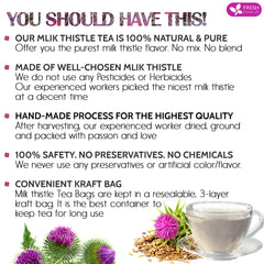 FRESHDRINKUS Milk Thistle seeds closeup showing natural harvest quality for daily wellness.