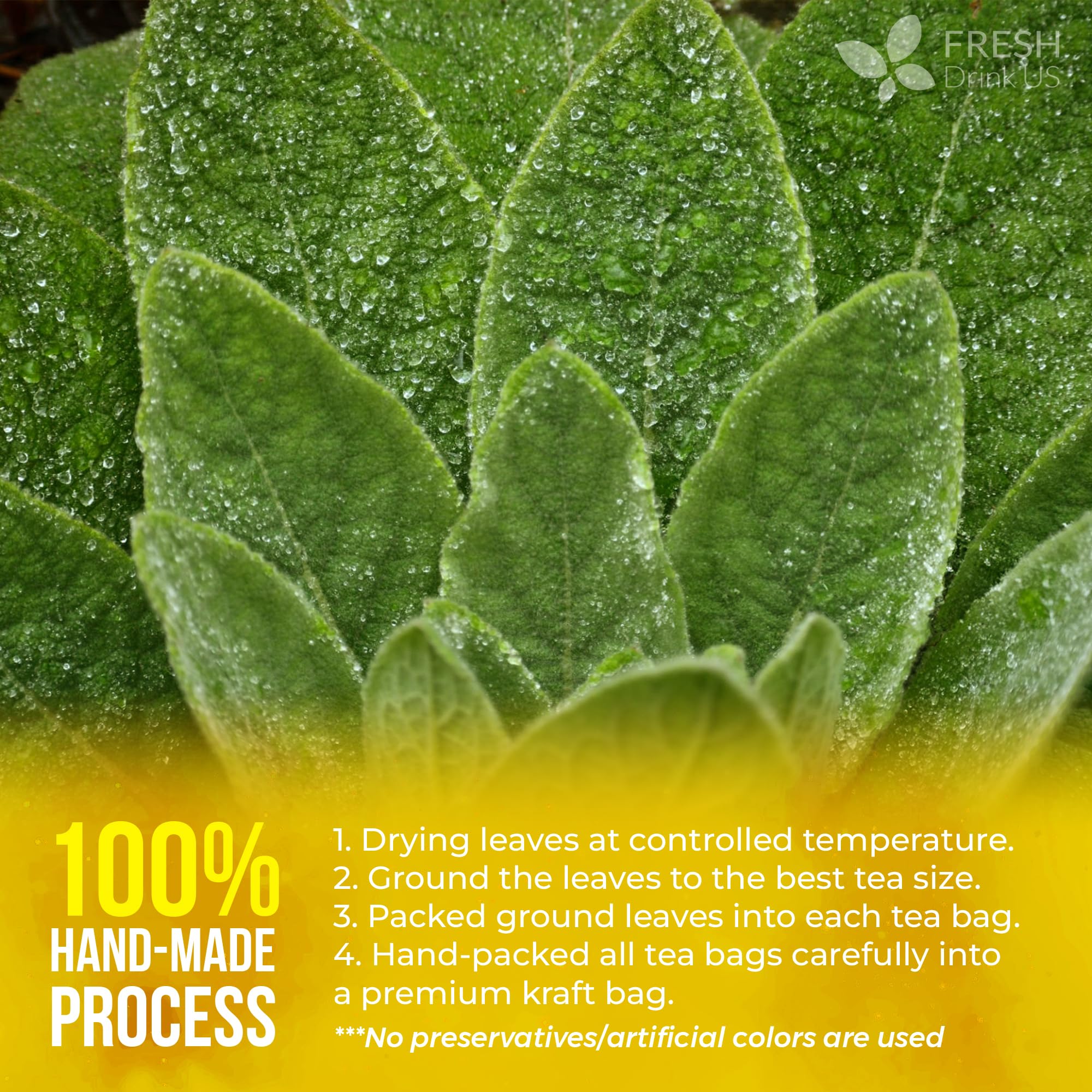 FreshDrinkUS mullein tea brewing in cup revealing rich color and aroma