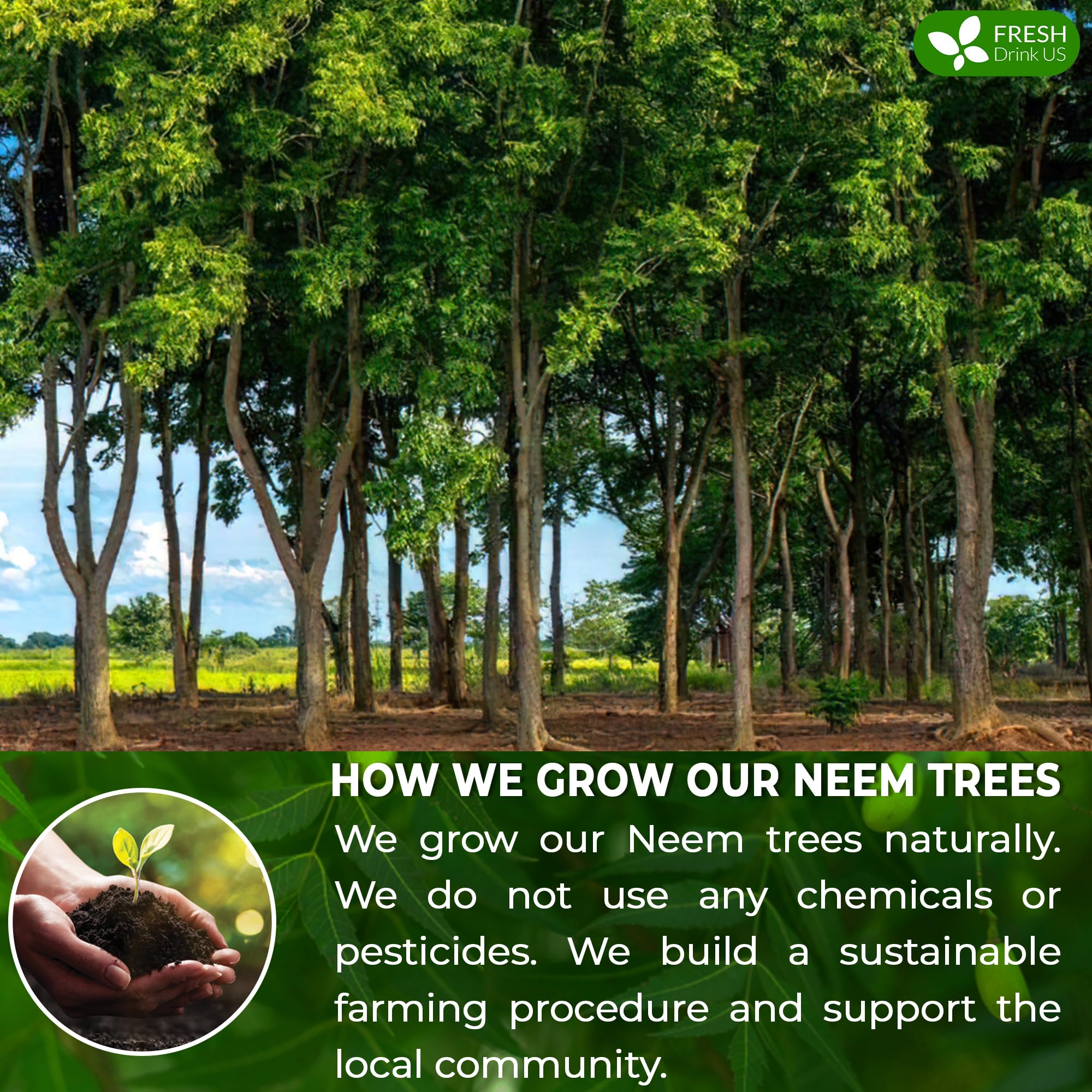 FreshDrinkUS neem tea bag brew step prepared in hot water ready in minutes.